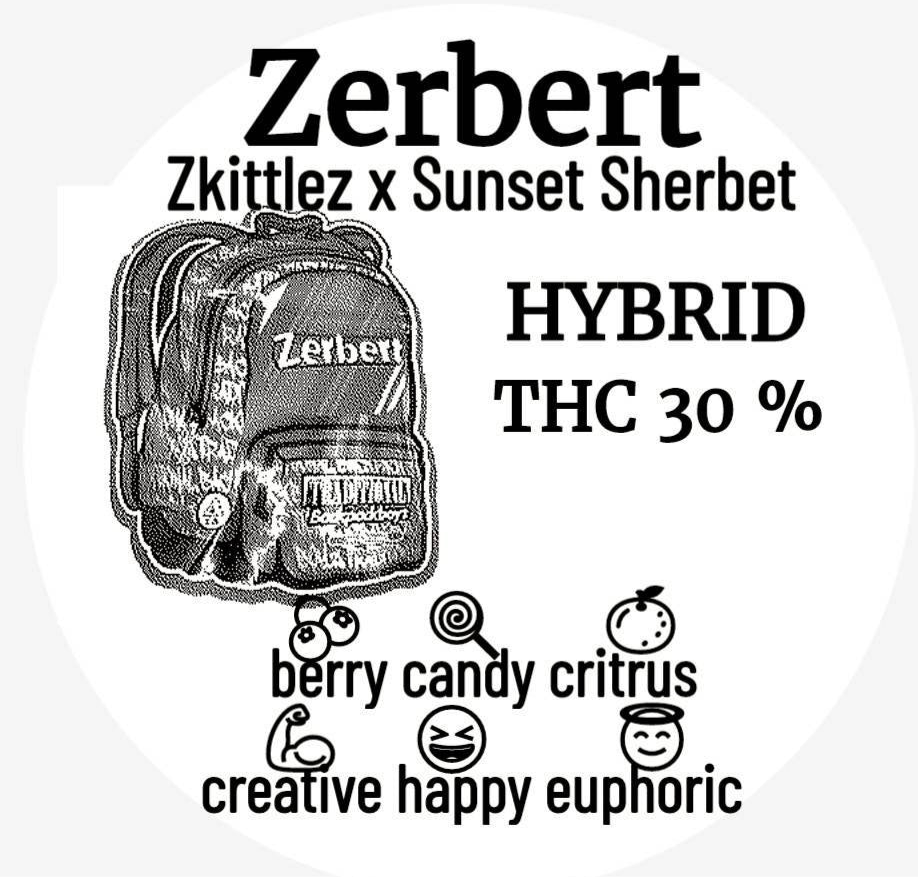 ZHERBERT - THC 32% CBD1%(New exotics)