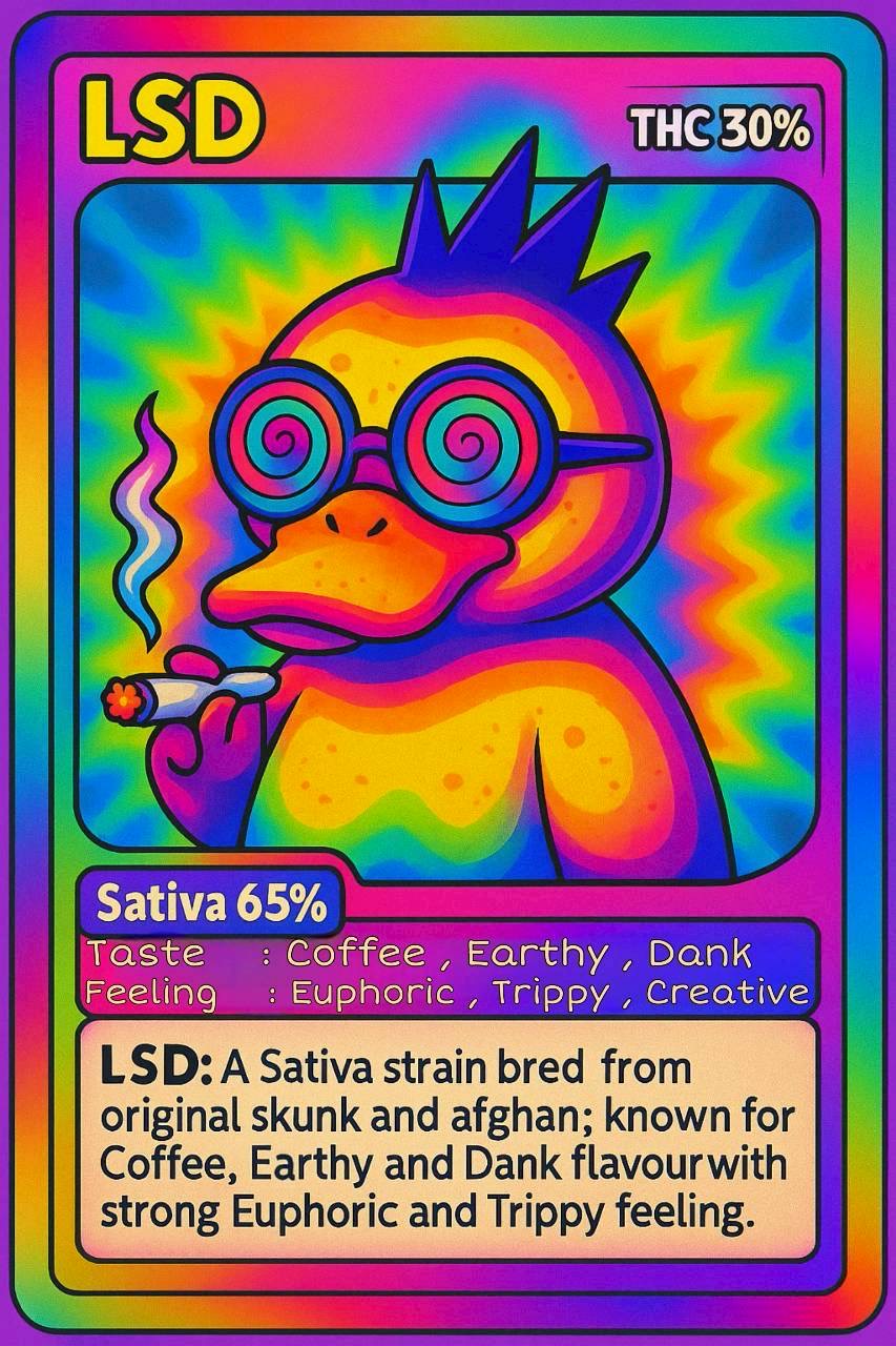 EXOTIC - LSD (SATIVA ) THC 30%