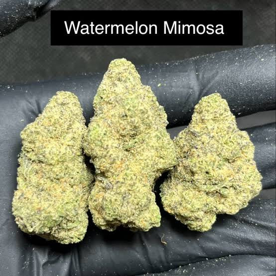 Exotics - Watermelon Mimosa THC 30 %(Sativa)