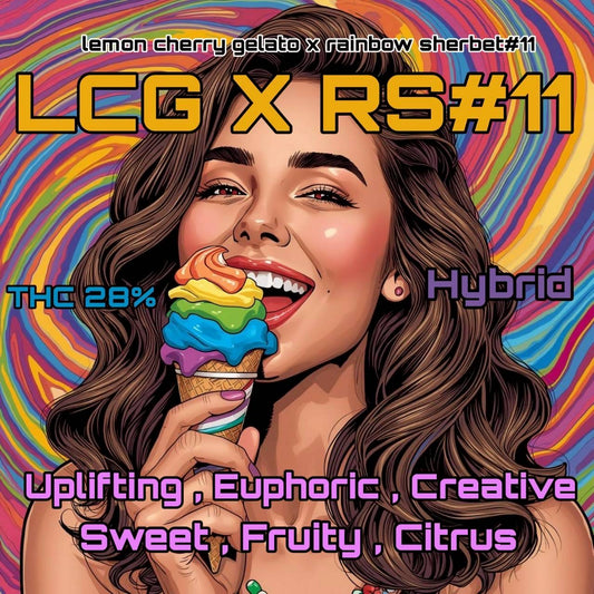 Exo LCG X RS#11 [Lemon cherry gelato x rainbow sherbet#11]
(Hybrid THC 28%)