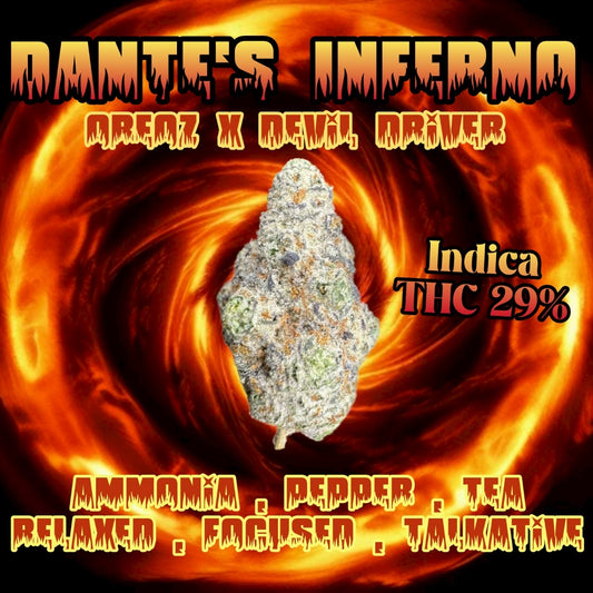 TOP SHELF -  DANTE’S INFERNO (INDICA) THC 29%