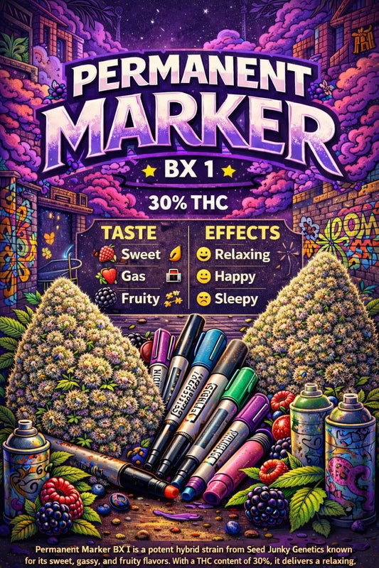 엑소 - 퍼머넌트 BX 1 (인디카) THC 30%