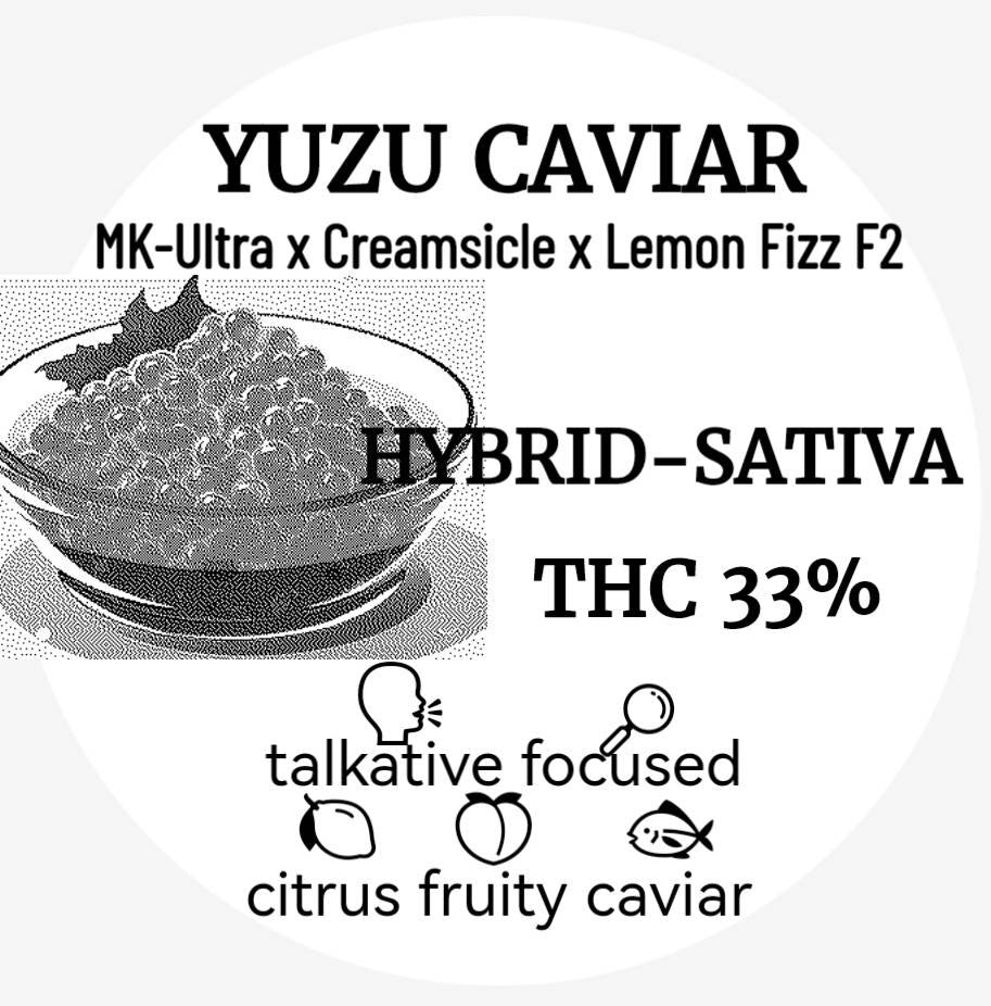 New Exotics - YUZU CAVAIR (HYBRID - SATIVA ) THC 33%
