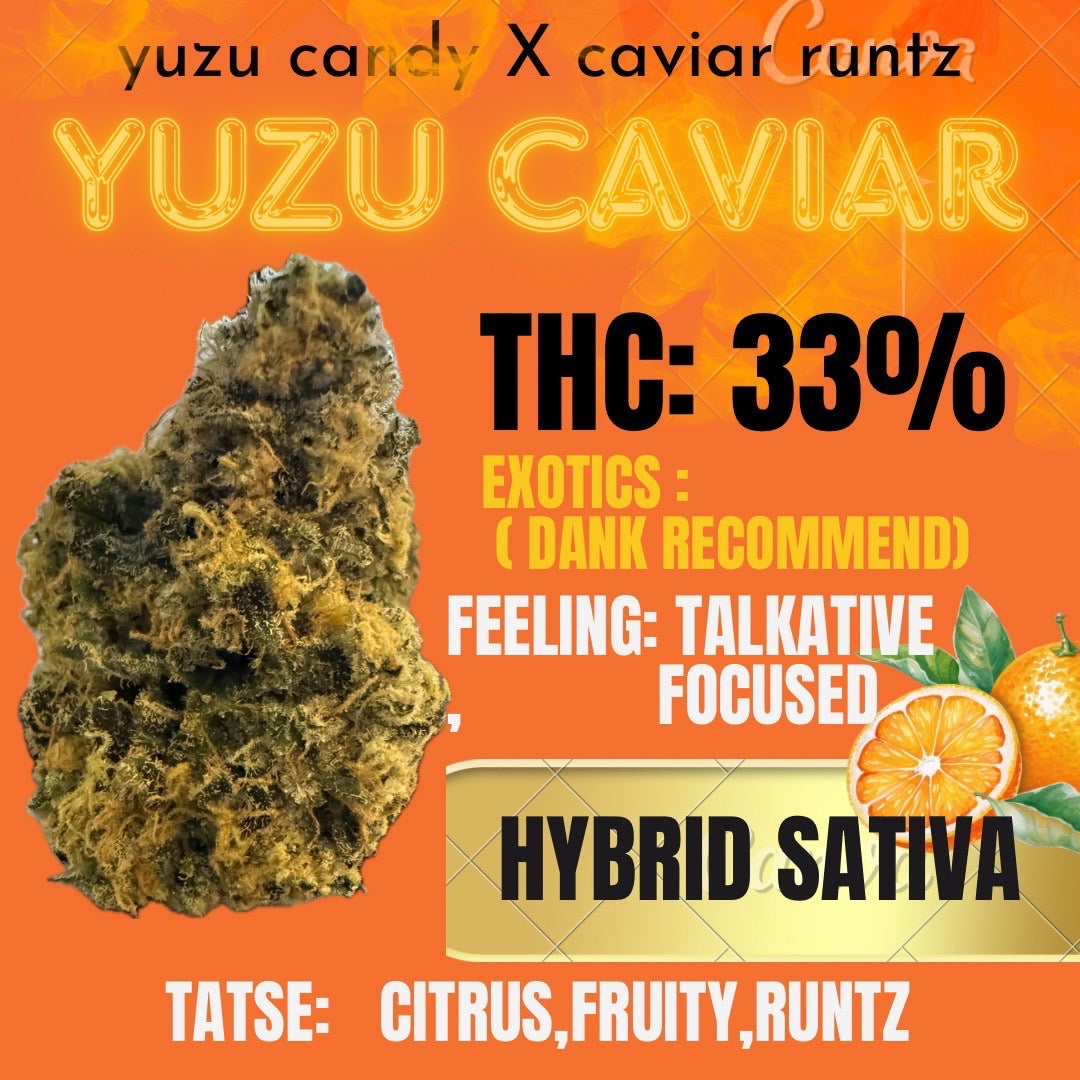 New Exotics - YUZU CAVAIR (HYBRID - SATIVA ) THC 33%
