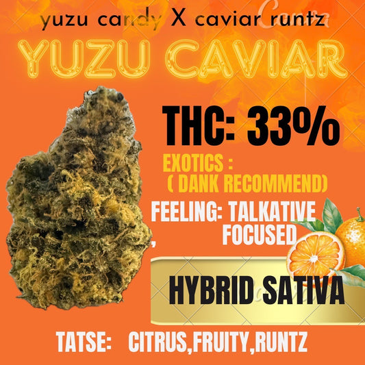 New Exotics - YUZU CAVAIR (HYBRID - SATIVA ) THC 33%