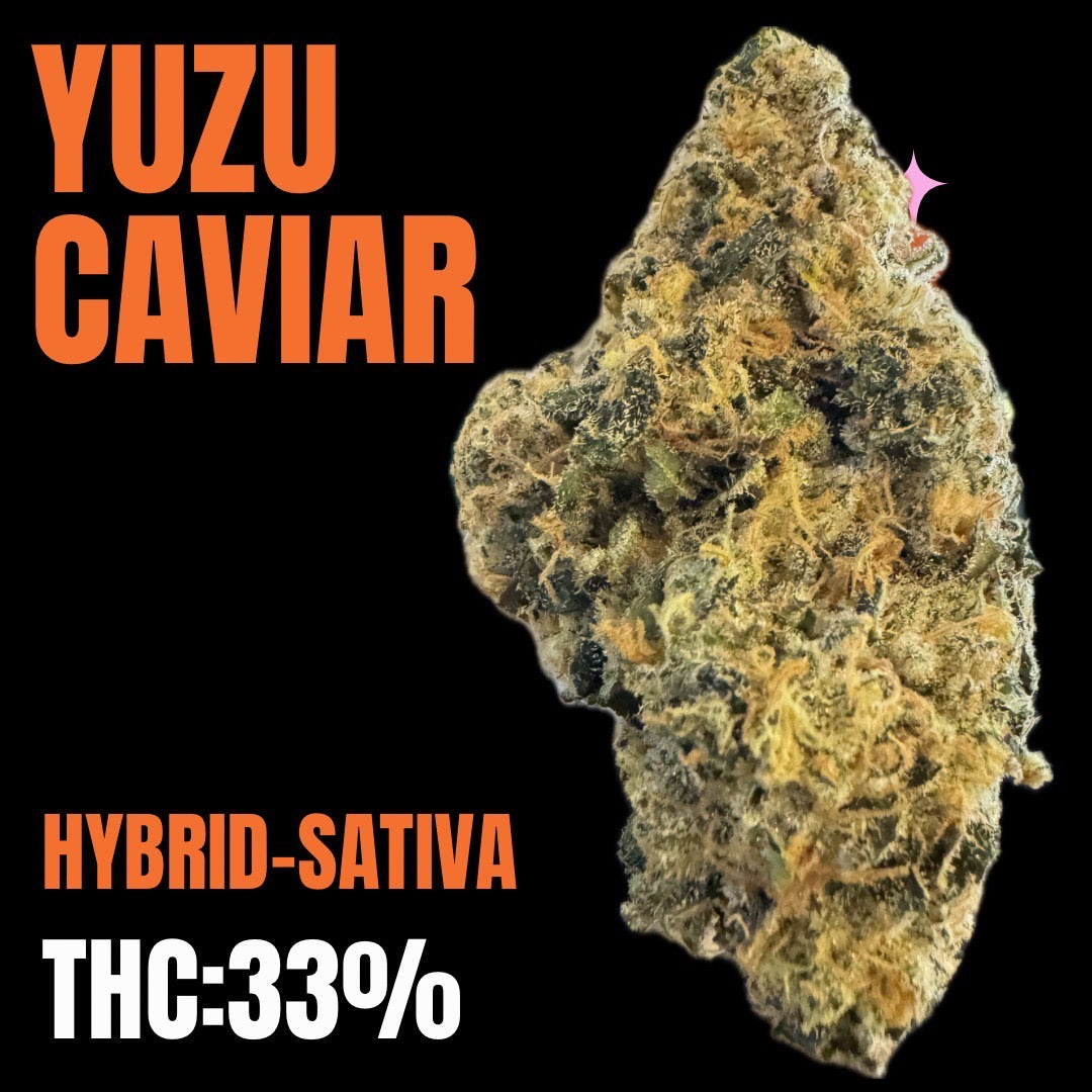 New Exotics - YUZU CAVAIR (HYBRID - SATIVA ) THC 33%