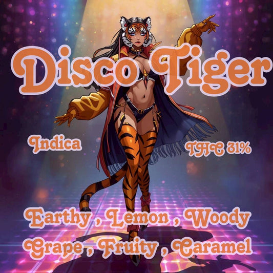 Top Shelf - DISCO TIGER ( HYBRID ) THC 31 %