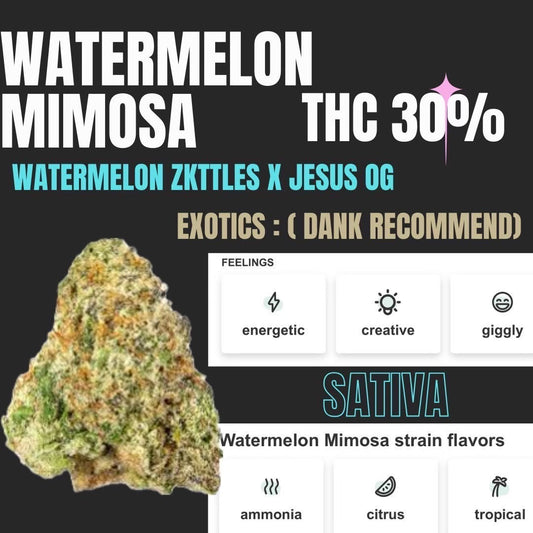 Exotics - Watermelon Mimosa THC 30 %(Sativa)