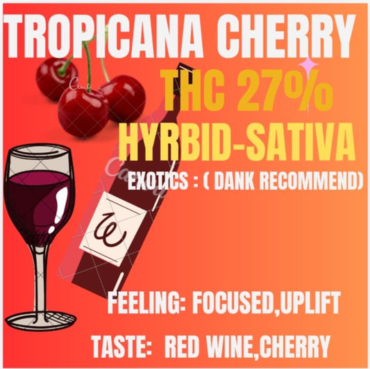 Mid grade - Tropicana Cherry THC 27% (SATIVA)