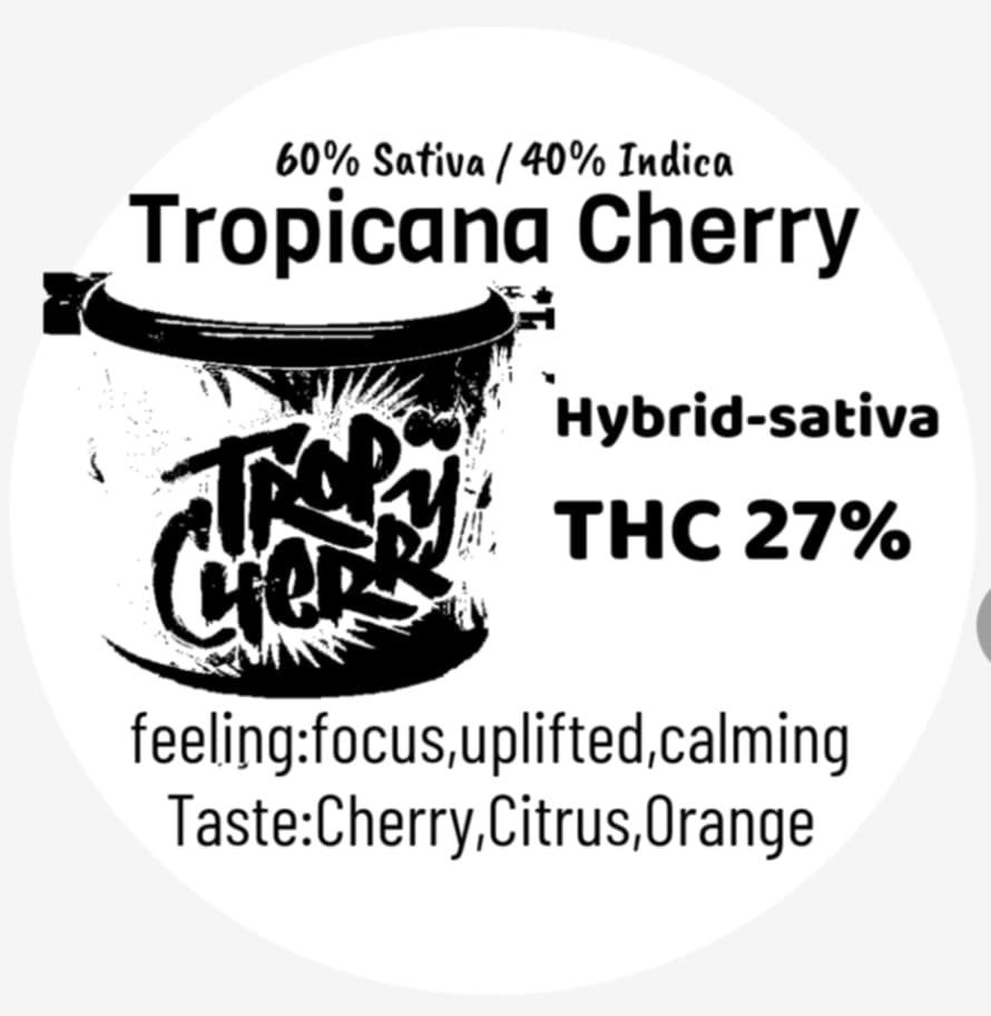 Mid grade - Tropicana Cherry THC 27% (SATIVA)