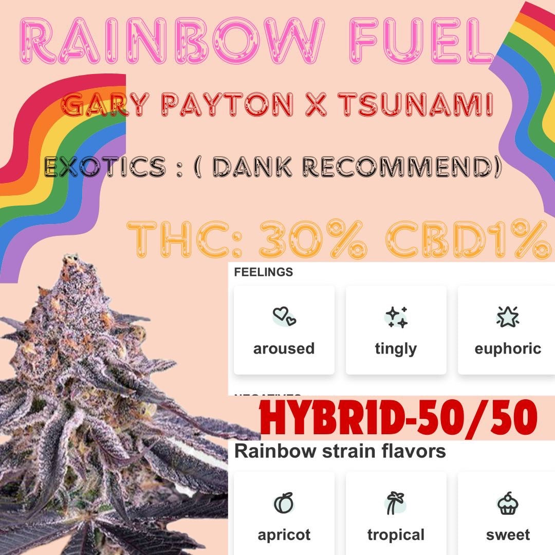 Exotics - RAINBOW FUEL (HYBRID 50:50 ) THC 30% CBD 1%