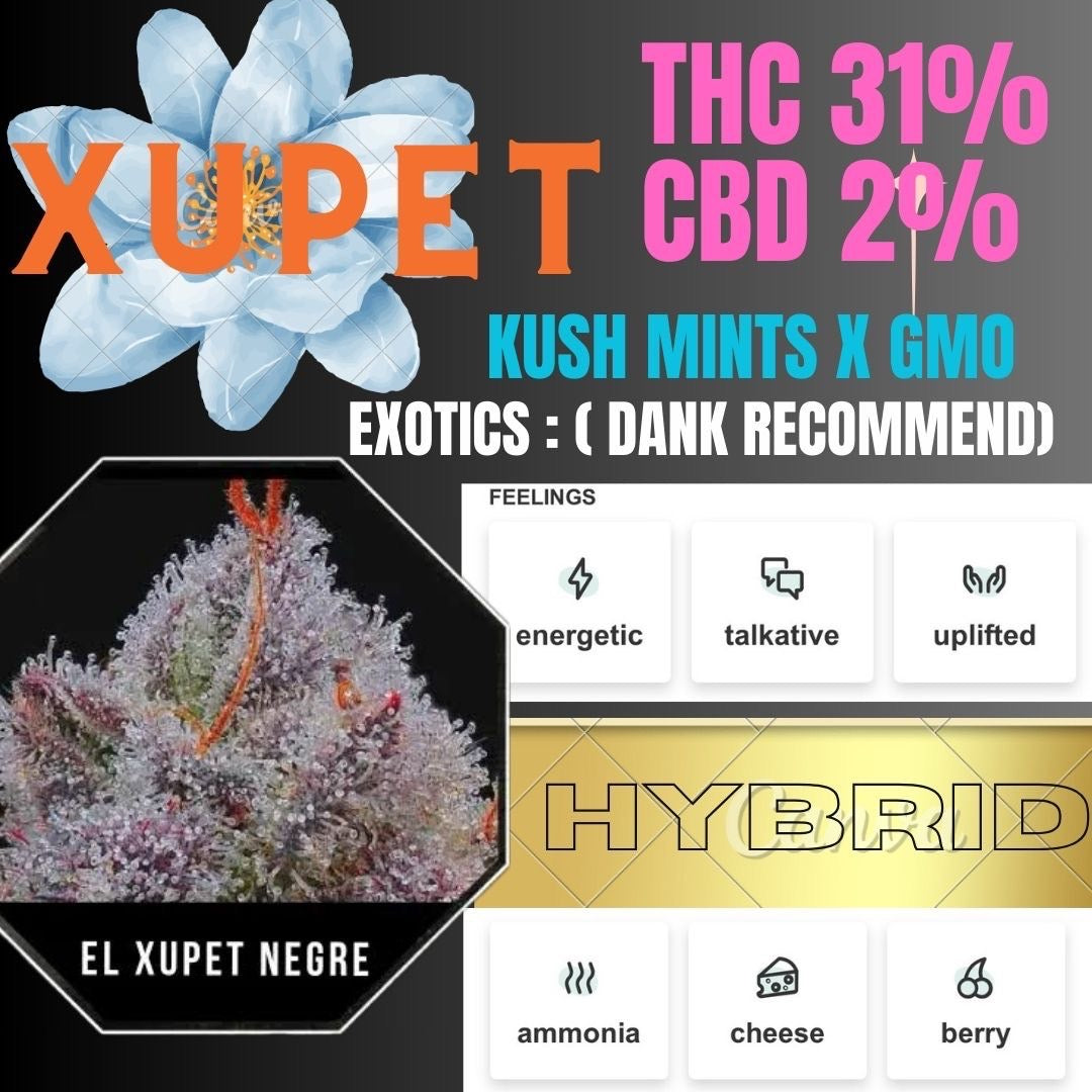 (Thailand Exotic)  XUPET Hybrid THC 31% CBD 2%