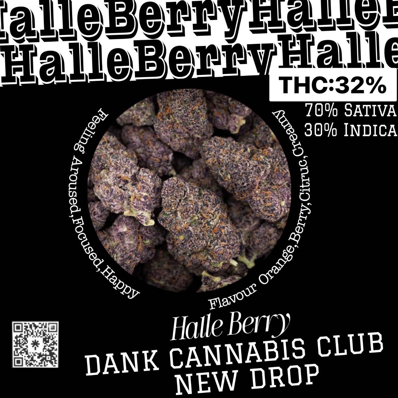 Exotic - Halle Berry (SATIVA)THC 32%