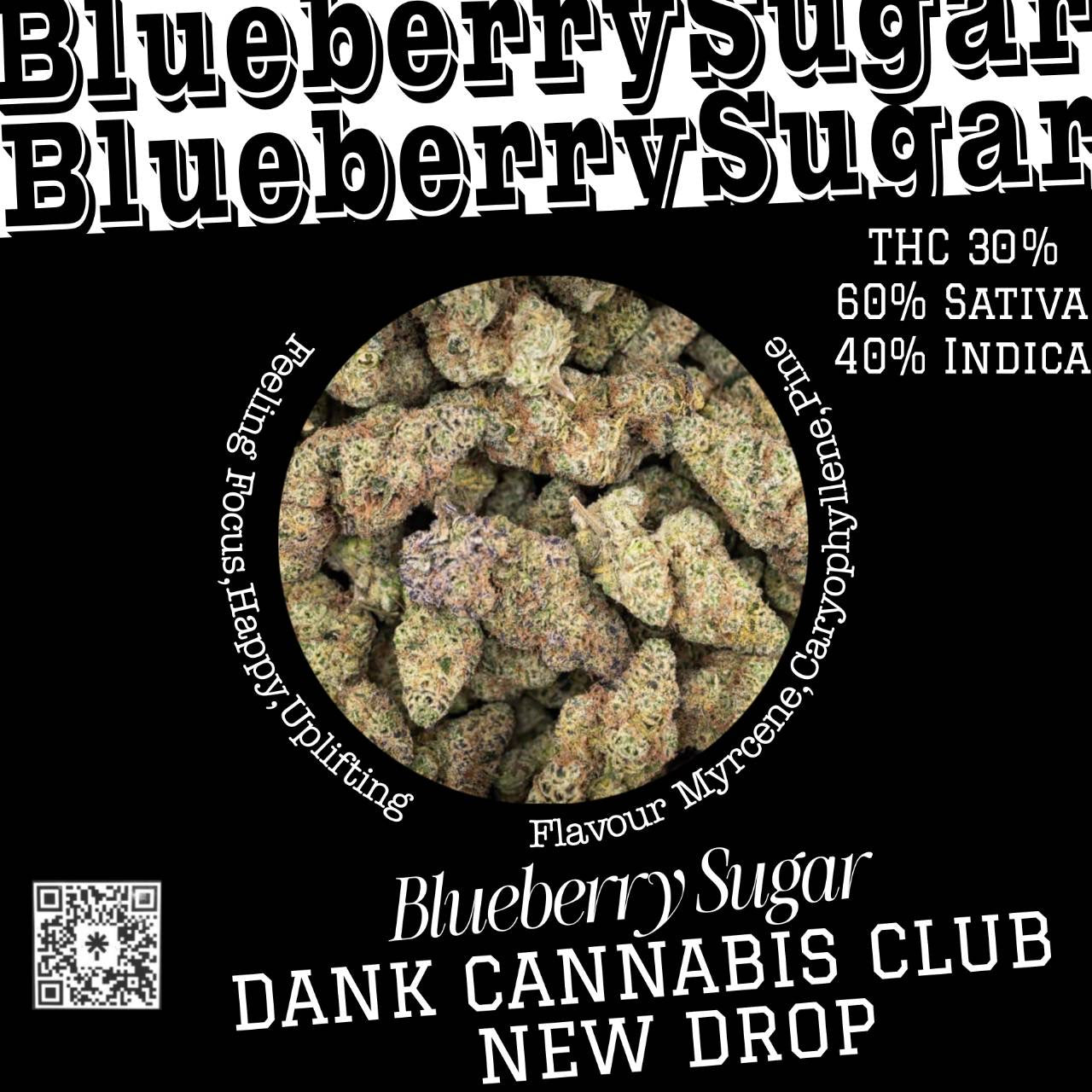 Exotic On sale - BlueberrySugar - (HYBRID Sativa ) THC30% CBG1%