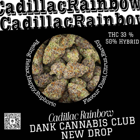 Cadillac Rainbow - (HYBRID50:50) THC33%, cbd1% (exotics)