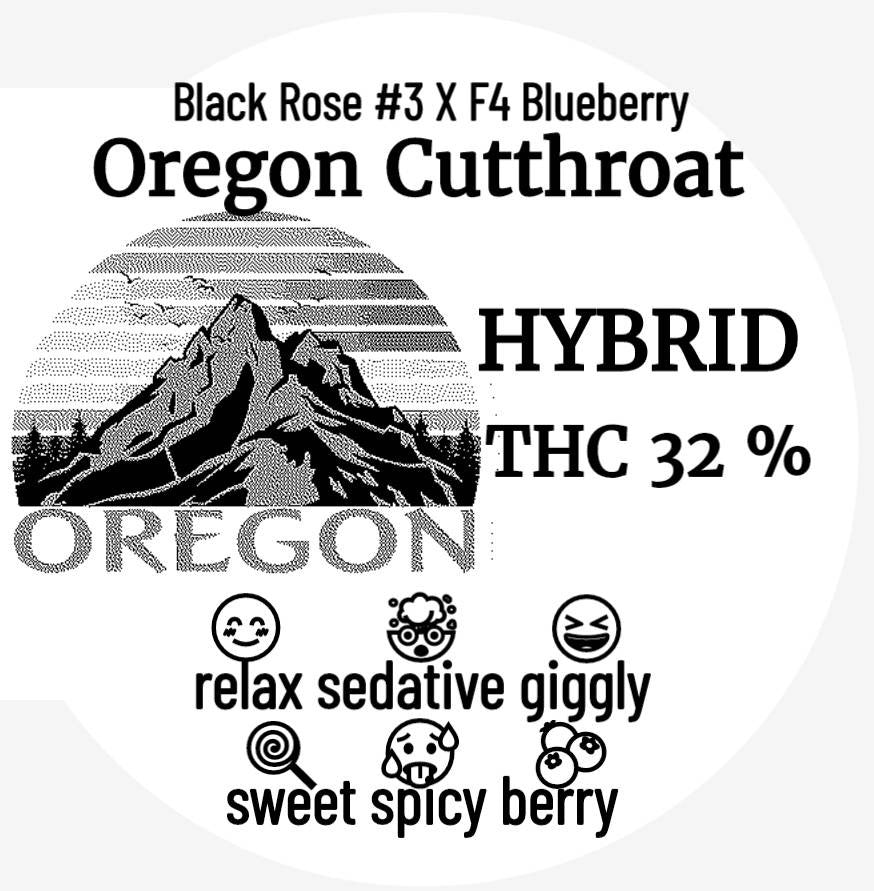 Exotic - OREGON CUTTHROAT (HYRBID 50:50 ) THC 32%