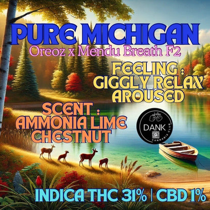 Exotic Premium - PURE MICHIGAN ( Hybrid - Indica ) Thc 31 % CBD 1%