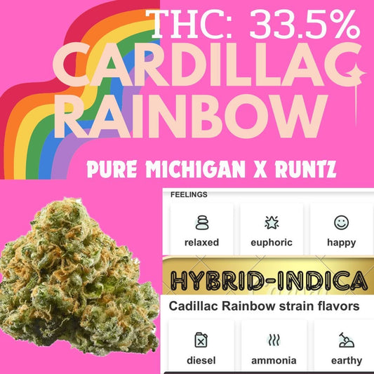 Cadillac Rainbow - (HYBRID50:50) THC33%, cbd1% (exotics)