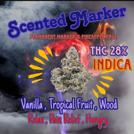 Top Shelf - SCENTED MARKETS ( HYBRID ) THC 26 %