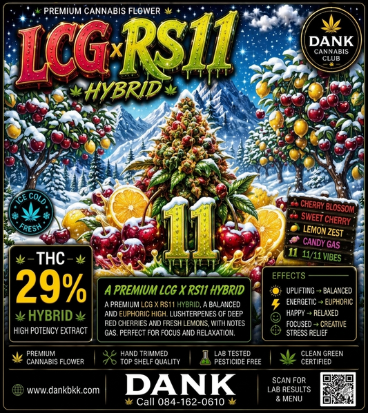 Exo - LCG RX11 (Hybrid) THC 29%