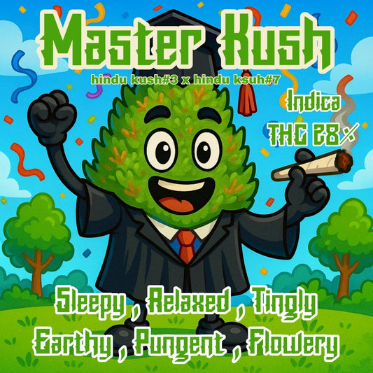 TOP SHELF - MASTER KUSH  (HYBID-INDICA) THC 28%