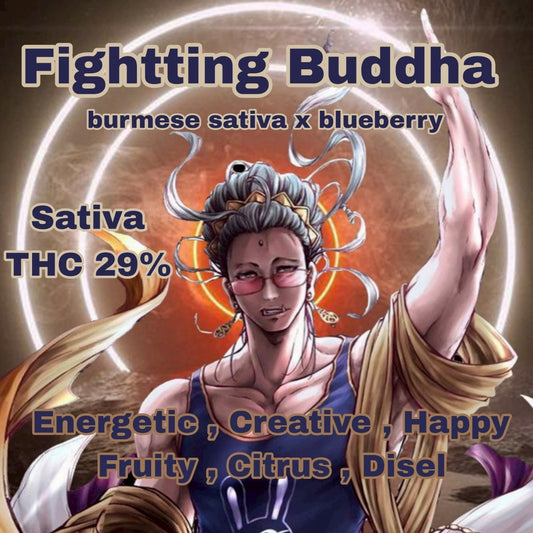 TOP SHELF - FIGHTING BUDDHA  ( Hybrid Sativa ) THC 29%