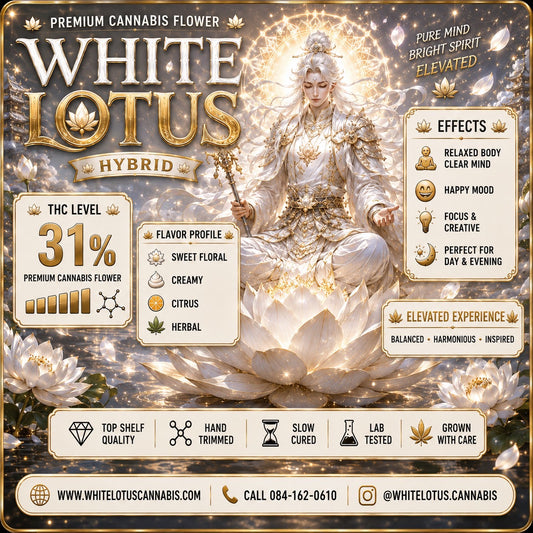 EXO - White Lotus (Hybrid) THC 31%