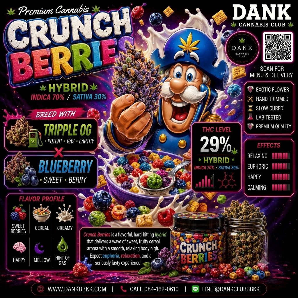 EXO - Crunch Berrie (Hybrid) THC 29%