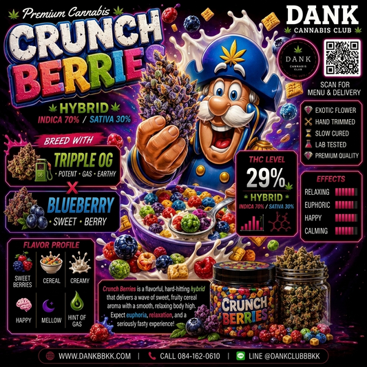 EXO - Crunch Berrie (Hybrid) THC 29%