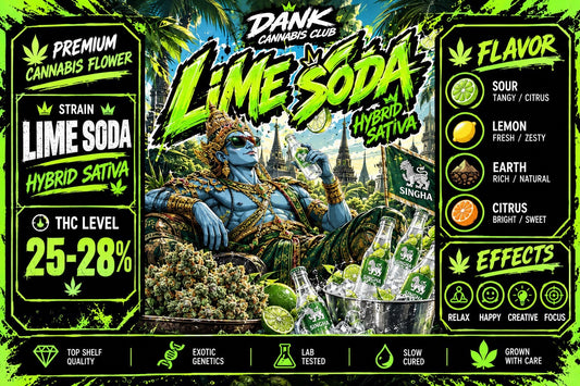Topshelf - LIME SODA  (HYBRID SATIVA ) THC 28%