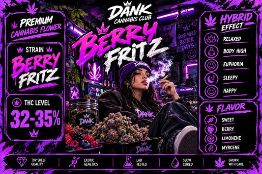 EXO - Black Fritz (Hybrid INDICA) THC 32-35%