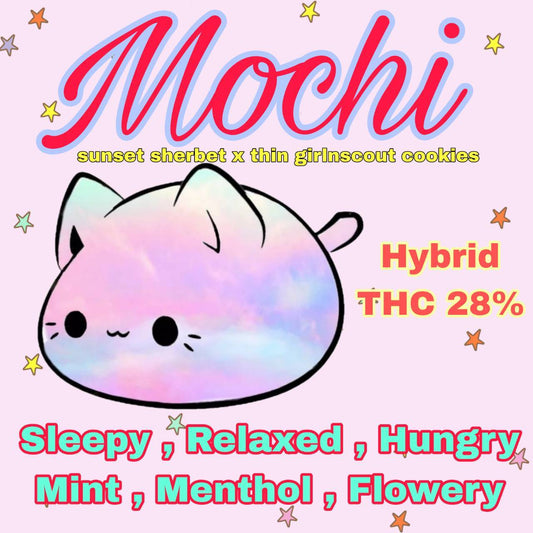 MID GRADE -MOCHI (HYBRID) THC 28%