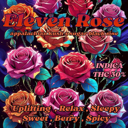 TOP SHELF-ELEVEN ROSE(INDICA) THC 30%