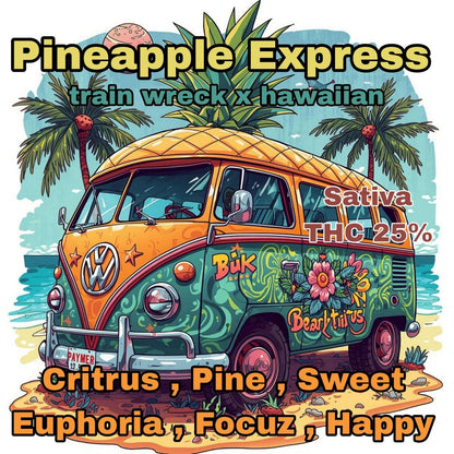 MID - PINEAPPLE EXPRESS (SATIVA) THC 25%