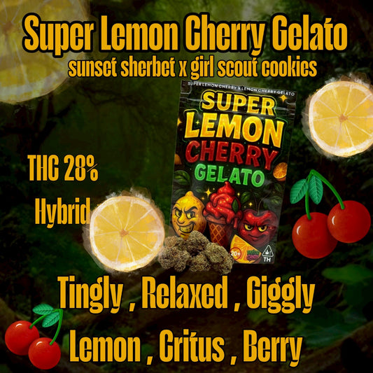 TOP - Super lemon Cherry G.(HYBRID) THC 28%