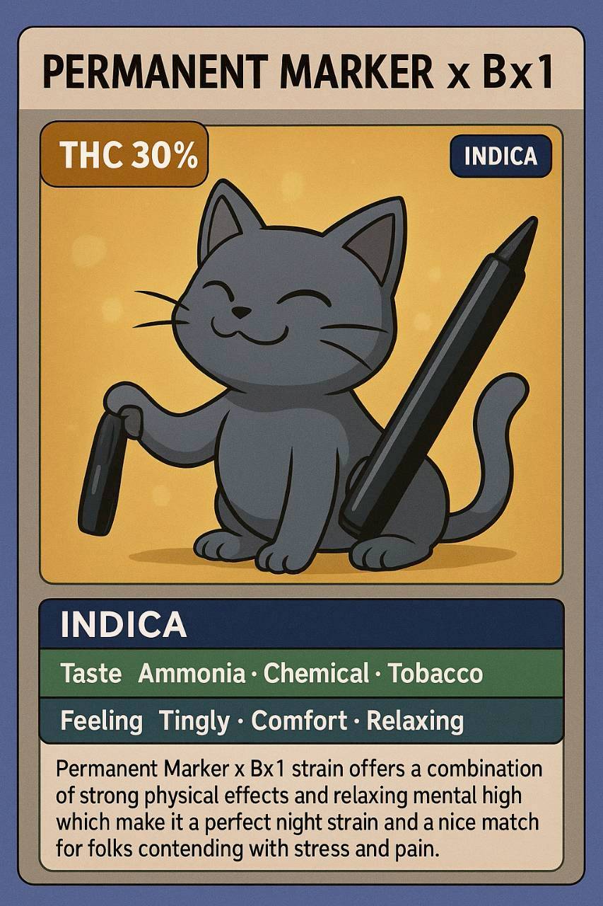 EXO - PERMANENT Bx1 (INDICA) THC 30%