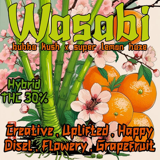 EXO-WASABI (HYBRID) THC 30 %