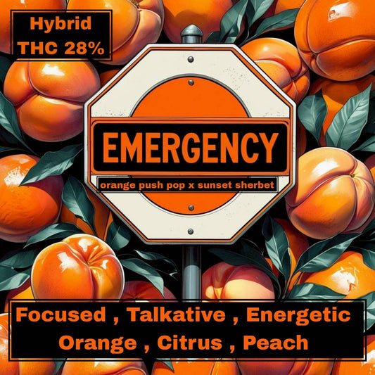 TOP - EMERGENCY (HYBRID) THC 28%