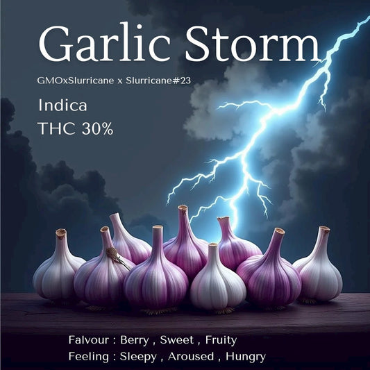 Top shelf- Galic Strom