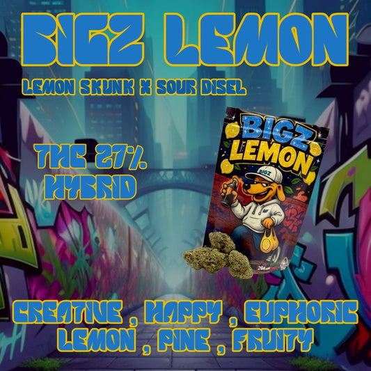 TOP - BIGZ LEMON (HYBRID) THC 27%