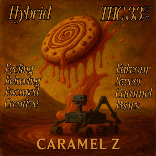 TOP- CARAMEL Z (HYBRID) THC 33%